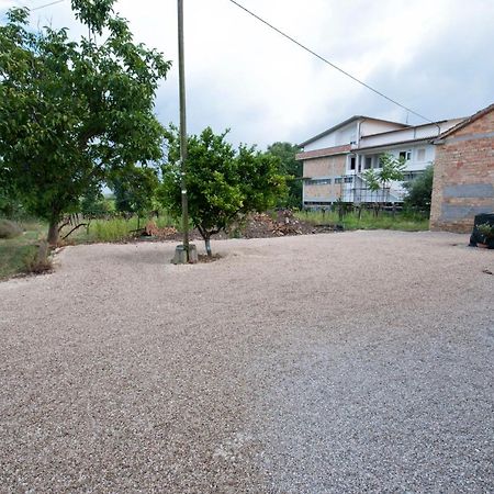 B&B Tra Gli Ulivi Rocca San Giovanni Εξωτερικό φωτογραφία